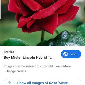 Meet your Posher, Beth